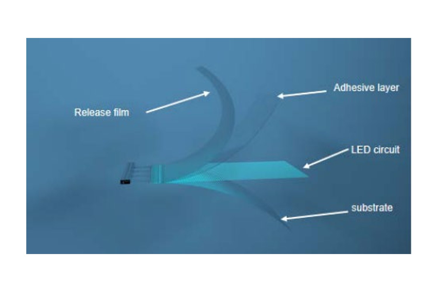 Jellyfish LED Film