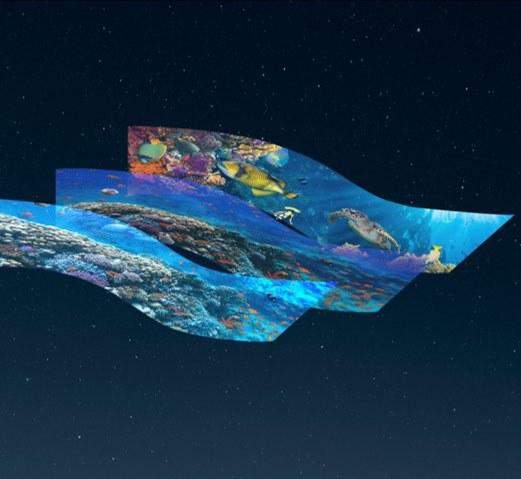 Jellyfish Hologram Display