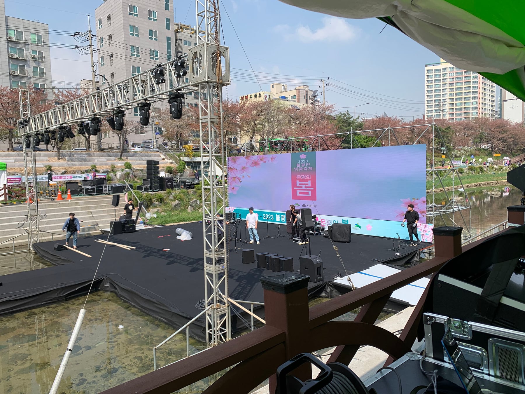 Cherry Blossom Festival Korea — installation