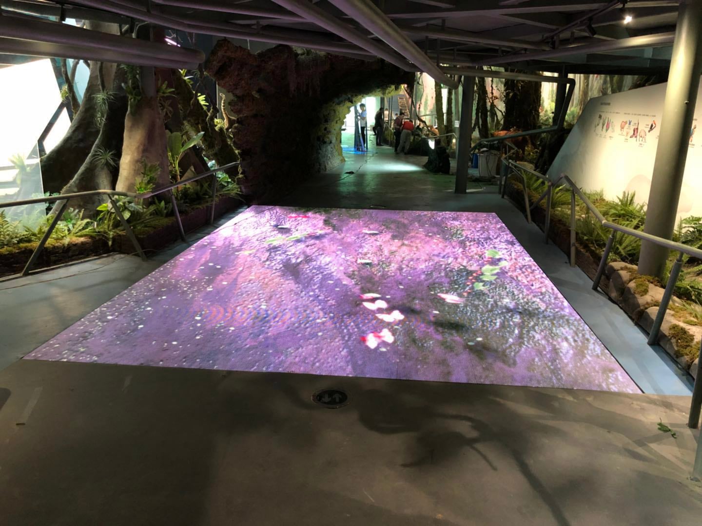 Wuhan Garden EXPO — installation